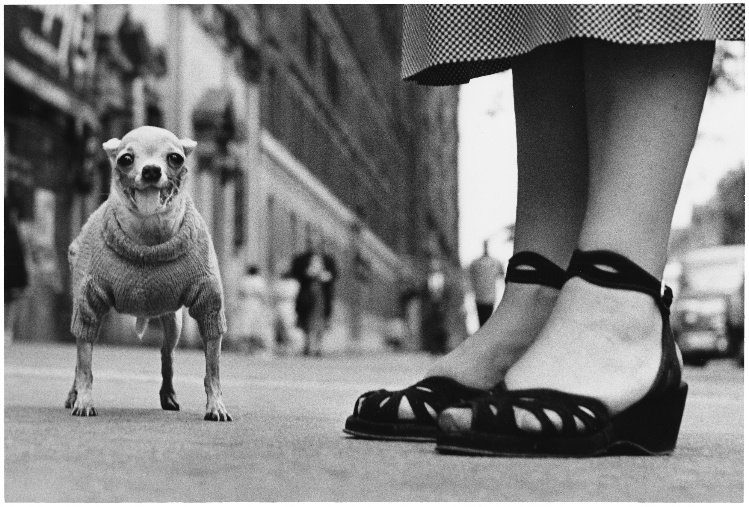 Elliott Erwitt — Weinstein Hammons Gallery